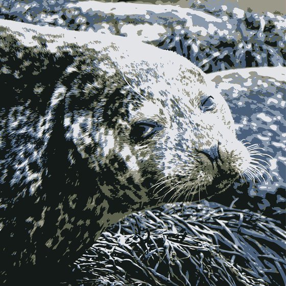 Seal#1