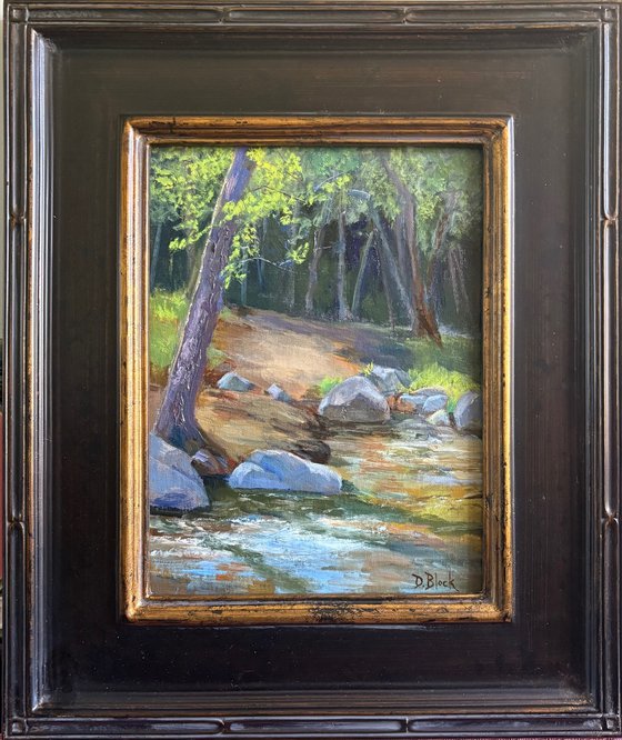 Mountain Stream