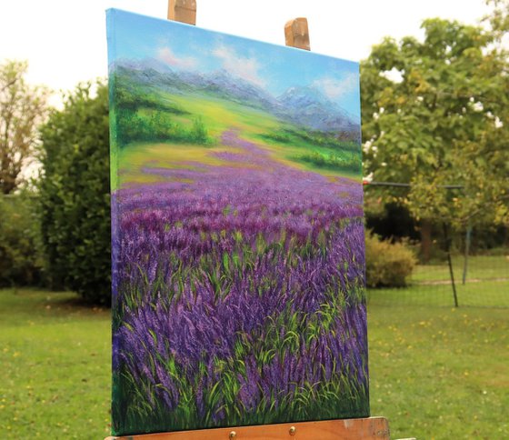 Provence lavender