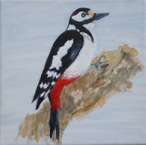 Woodpecker by Maddalena Pacini