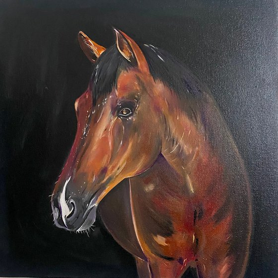 ‘Midnight’ Horse oil painting