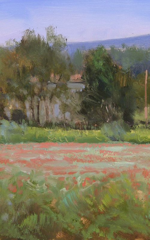 Mas near Forcalquier by Pascal Giroud