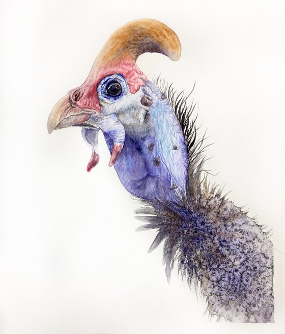 Portrait of Guinea fowl bird