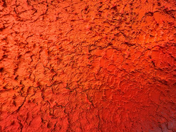 lichen 2