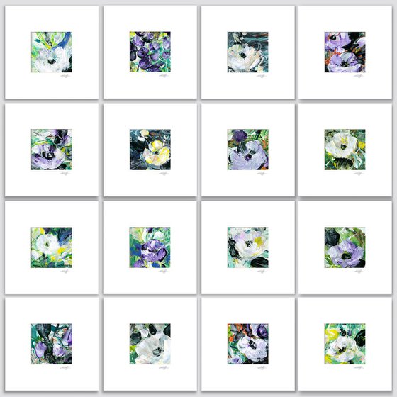 Blossoms Of Love Collection 5
