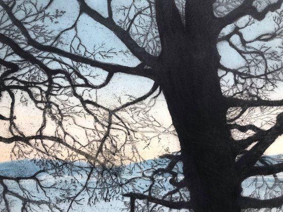 Twilight Trees
