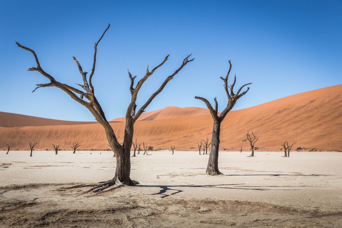 Deadvlei by Kevin Standage