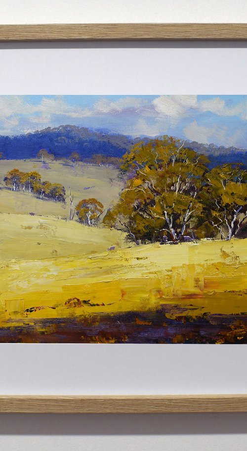 Summer Australian Landscape by Graham Gercken