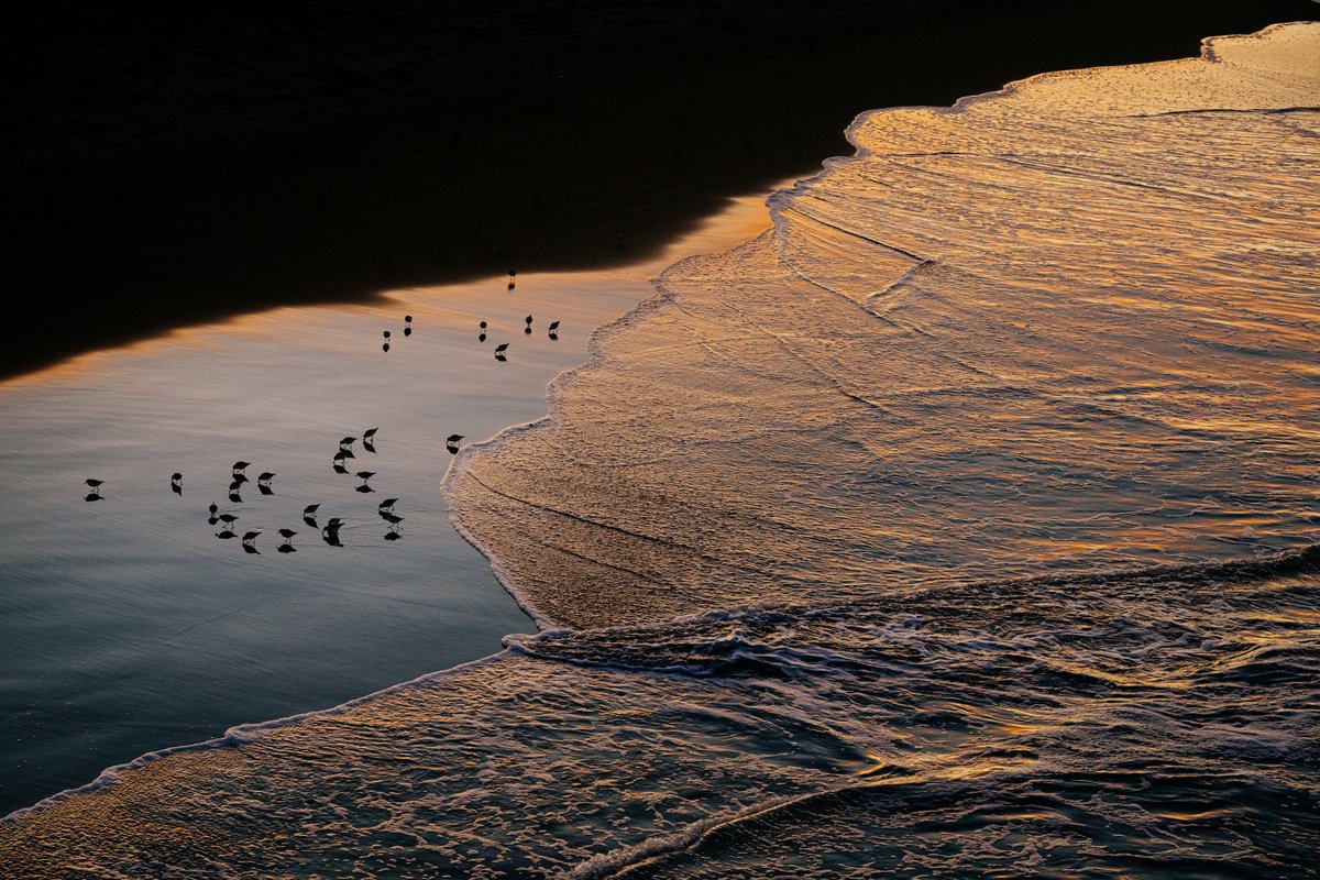 MORNING CALM by Harv Greenberg