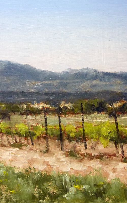 Vineyards near Cabrières-d'Aigues by Pascal Giroud