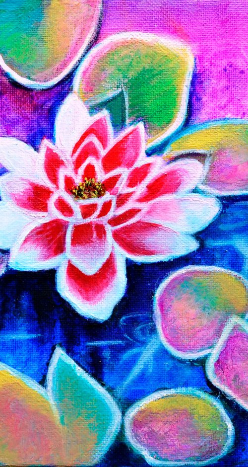 Pink lotus in pond by Manjiri Kanvinde