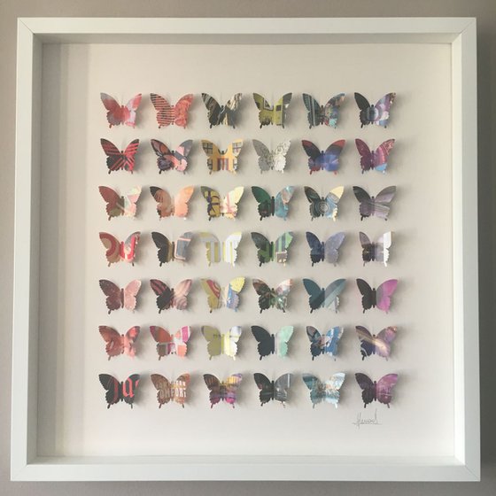 Rainbow Wings  (Butterfly Artwork)