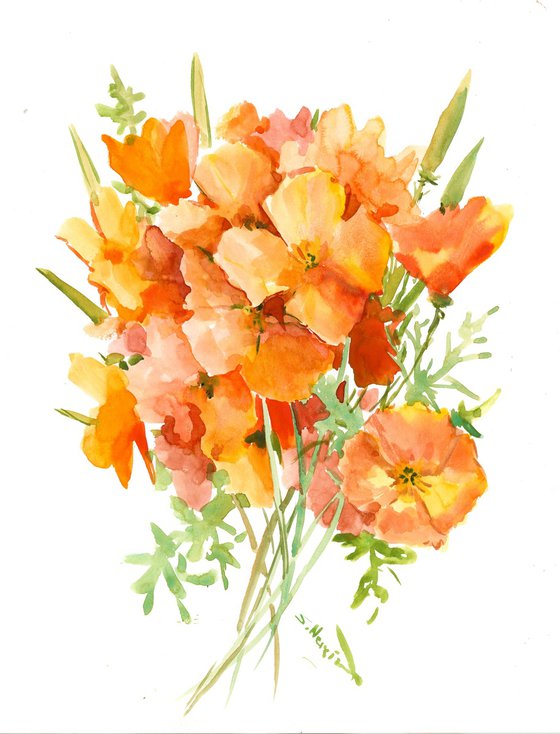 California Poppies