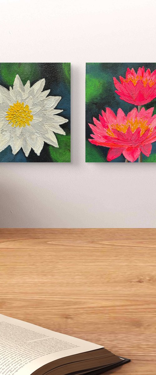 Mini Waterlilies by Amita Dand