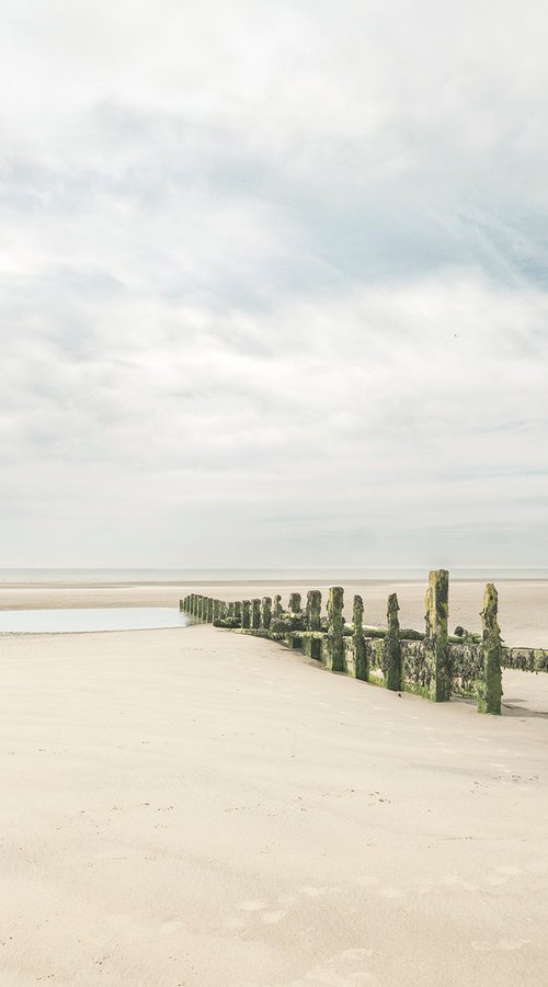 Low Tide by Adam Regan