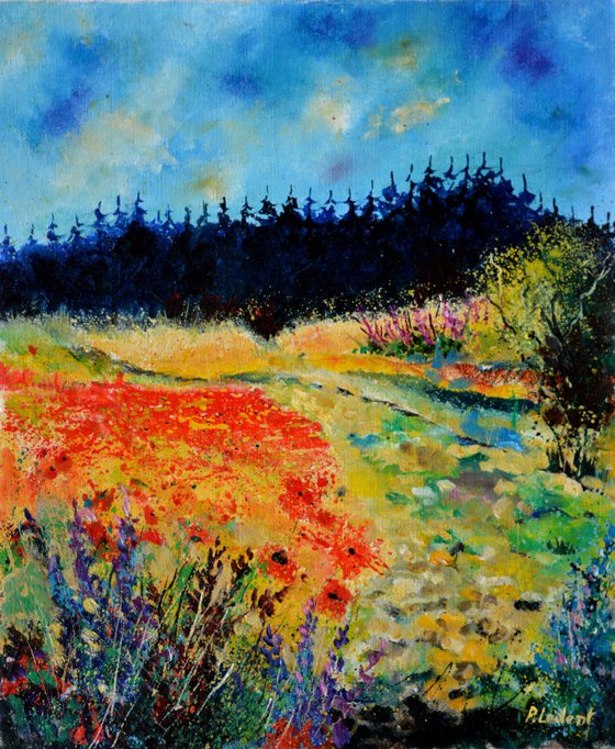 Summer landscape with red poppies  -  5623