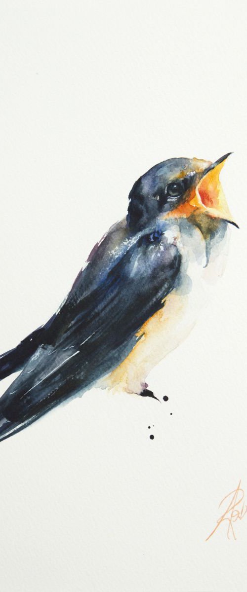 Barn Swallow (Hirundo rustica) by Andrzej Rabiega