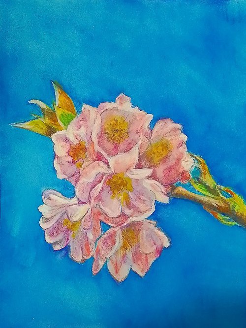 Beautiful Blossom by Maureen  Crofts