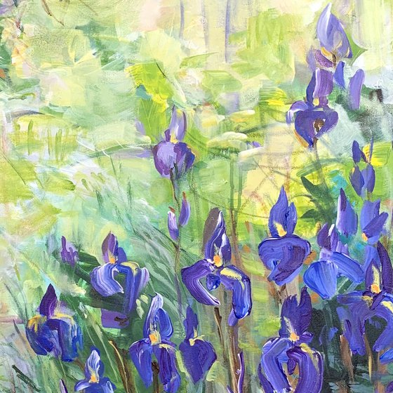 Blue irises