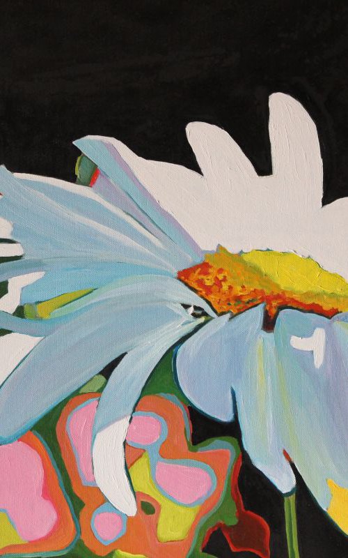 Sunlit Daisy by Emma Cownie