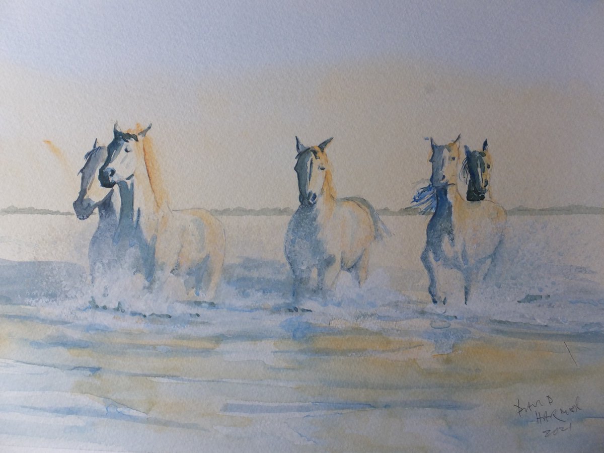 Wild Horses in the Wetlands by David Harmer