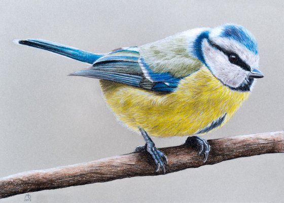 Original pastel drawing "Eurasian blue tit"