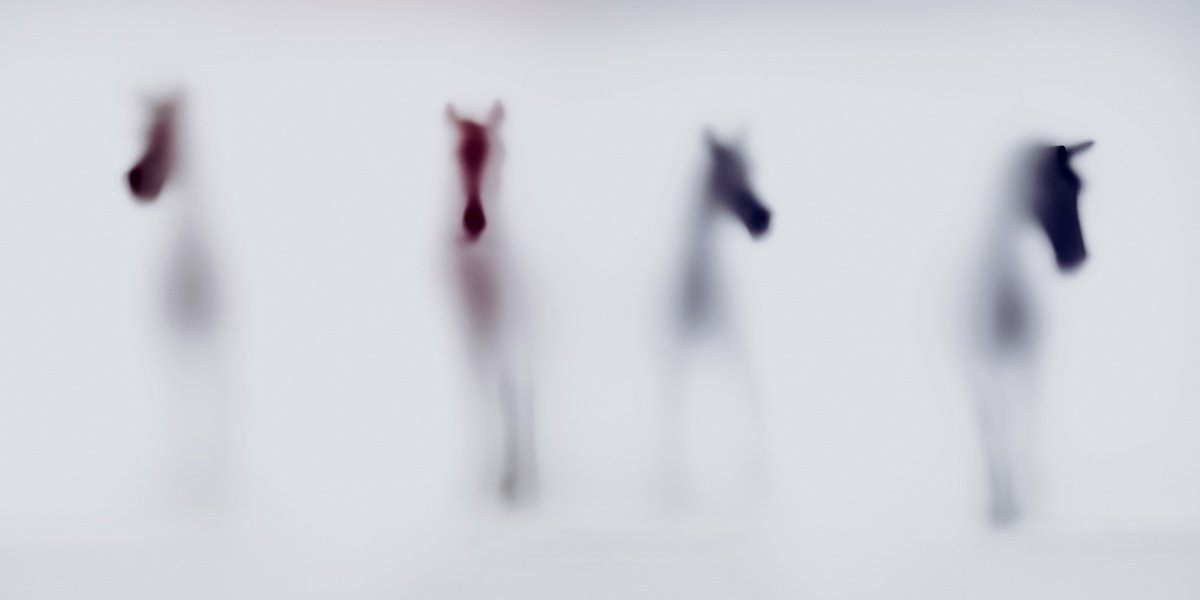 Abstract Animal Photograph By Sven Pfrommer, 55 X 28", Wild Lens - Horses Ii, Original Artwork