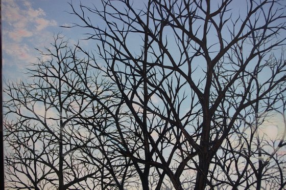 A Winters Day
