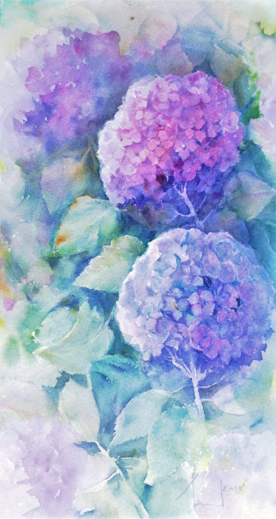 TWO FROM MANY. HYDRANGEAS TIME  original watercolor 20X40