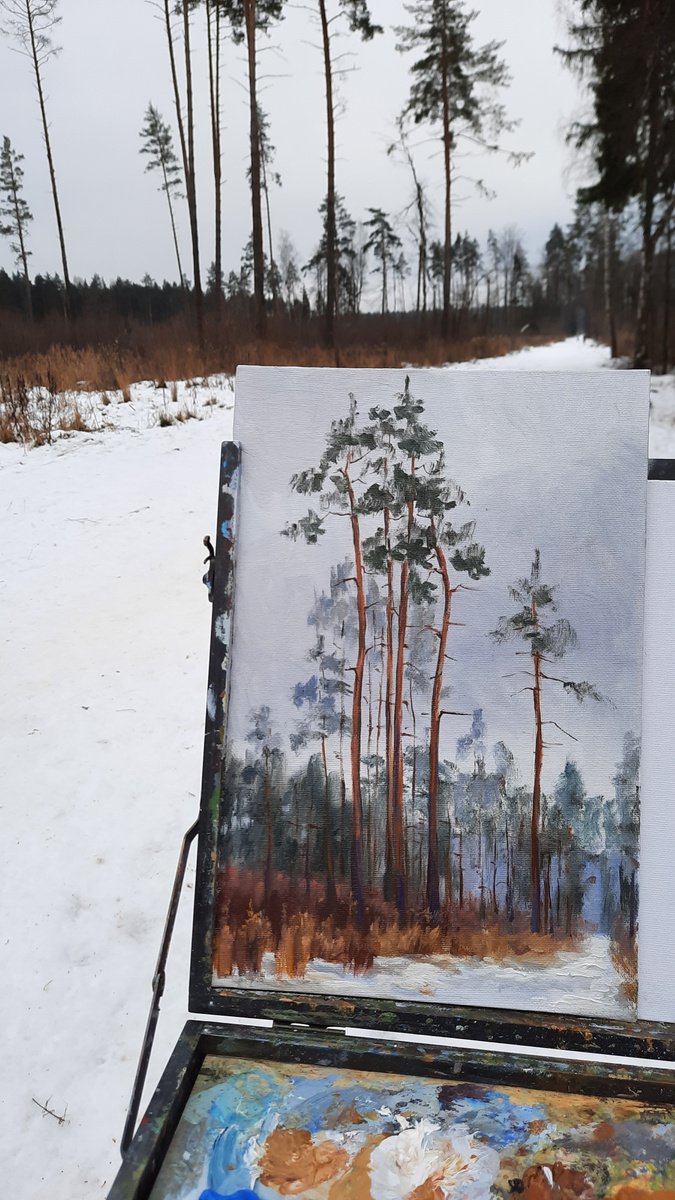 Lonly pines. Winter (plein air 2020) by Maria Chernobrovkina