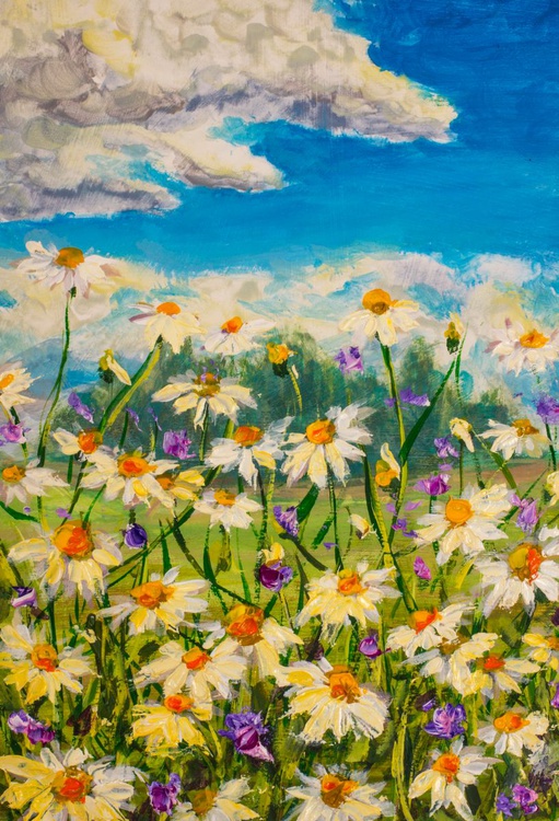 Original Oil Painting Of White Daisies Flowers Artfinder