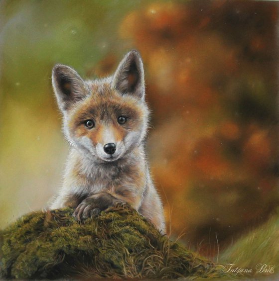 Little fox in the forrest