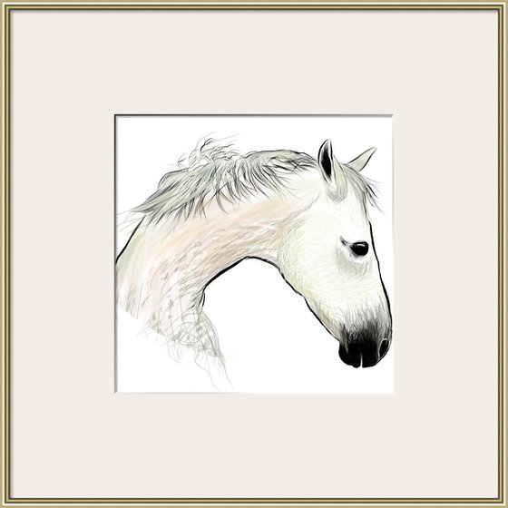 White horse