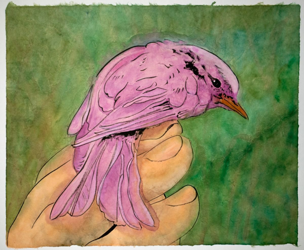 Pink Bird by Marcel Garbi