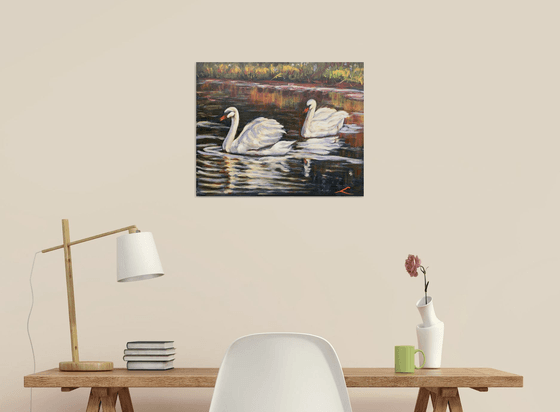 Swans