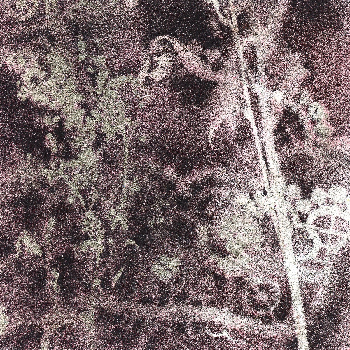  Incantesimi N. 6 By Milena Nicosia, 30 X 30, Artwork For Sale On Artfinder