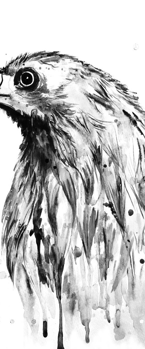 Eagle, black and white by Luba Ostroushko