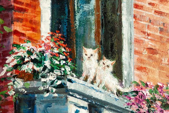 "Cats in the city" old town , cityscape, balcony flower