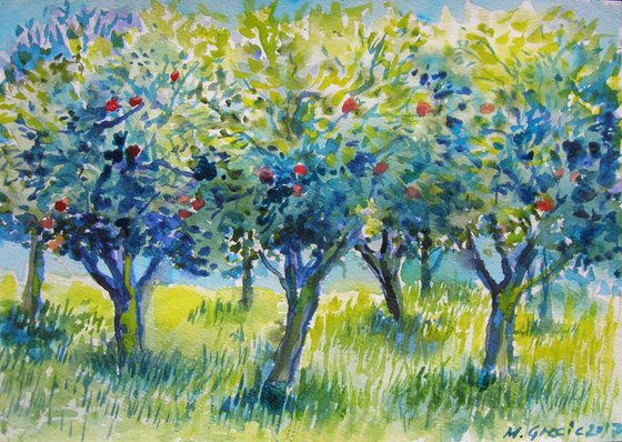 Apple trees