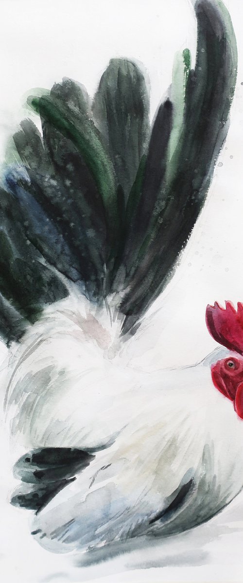 Bird Cock by Anna Shchapova