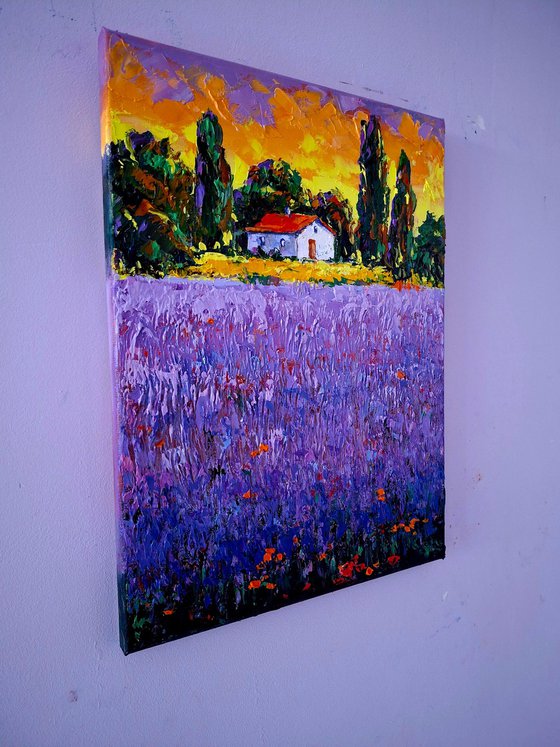 Lavender evening