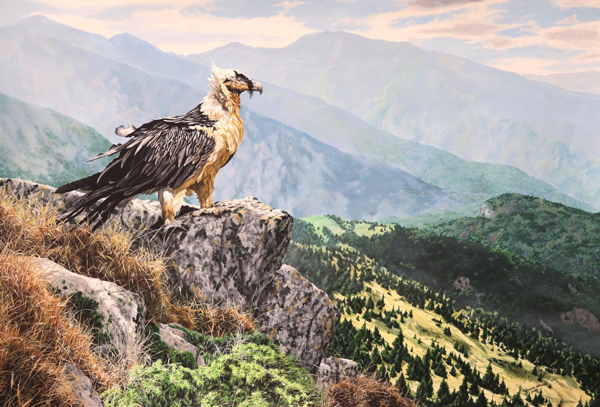 Photorealistic Landscape Acrylic Painting By Julian Wheat, 42 X 28", Bearded Vulture, Original Artwork