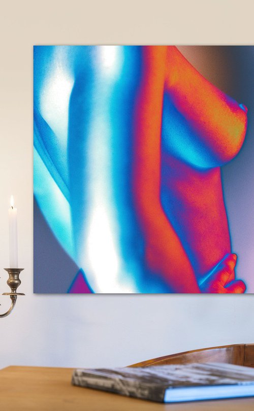 Colorfull Nude I by Robbert Frank Hagens