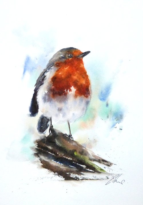 A Winters Robin by Graham Kemp
