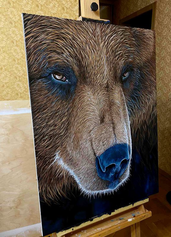 Brown Bear Portrait