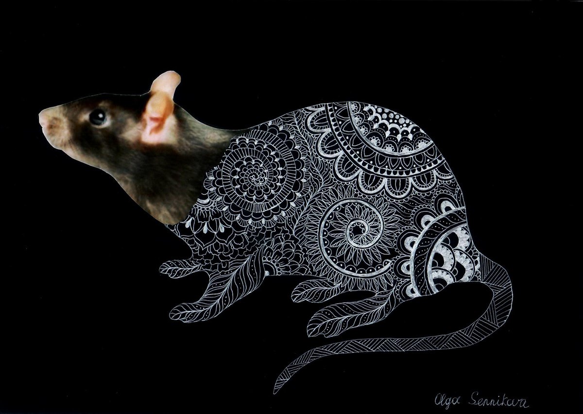 Rat Symbol 2020 by Olga Sennikova