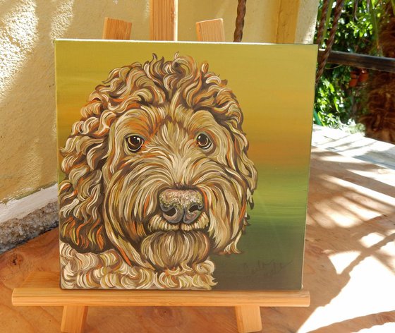 Labradoodle Pet Dog Original Art Painting-8 x 8 Inches Deep Set Stretched Canvas-Carla Smale
