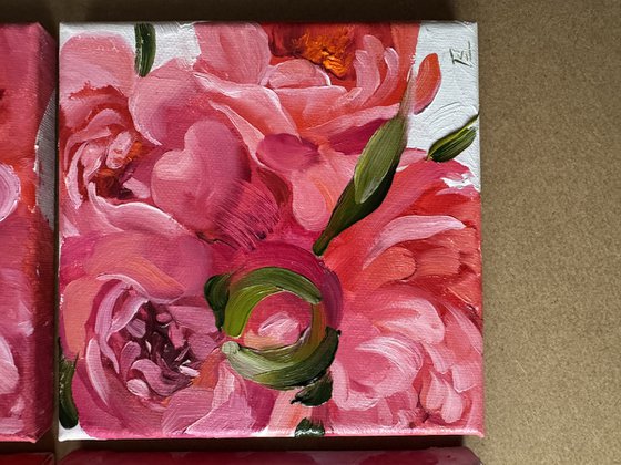 A quadriptych of salmon peonies