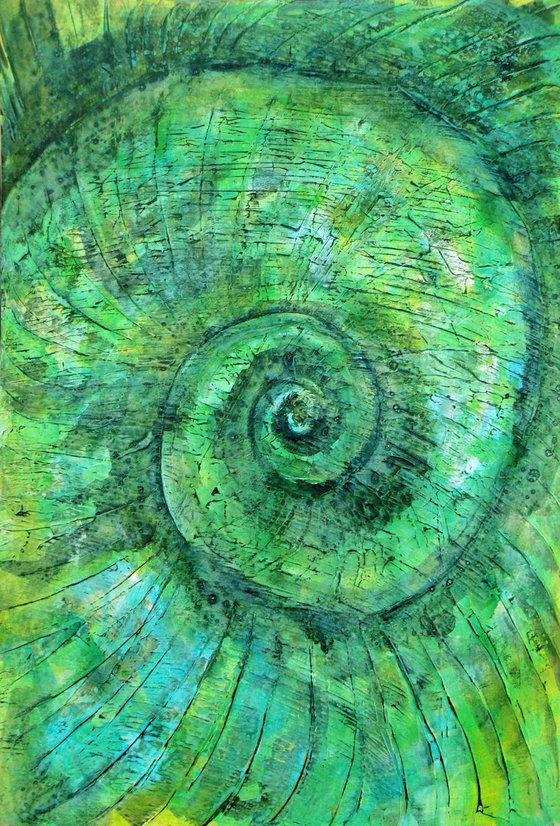 Ammonite (textured artwork of a fossil ammonites) #7