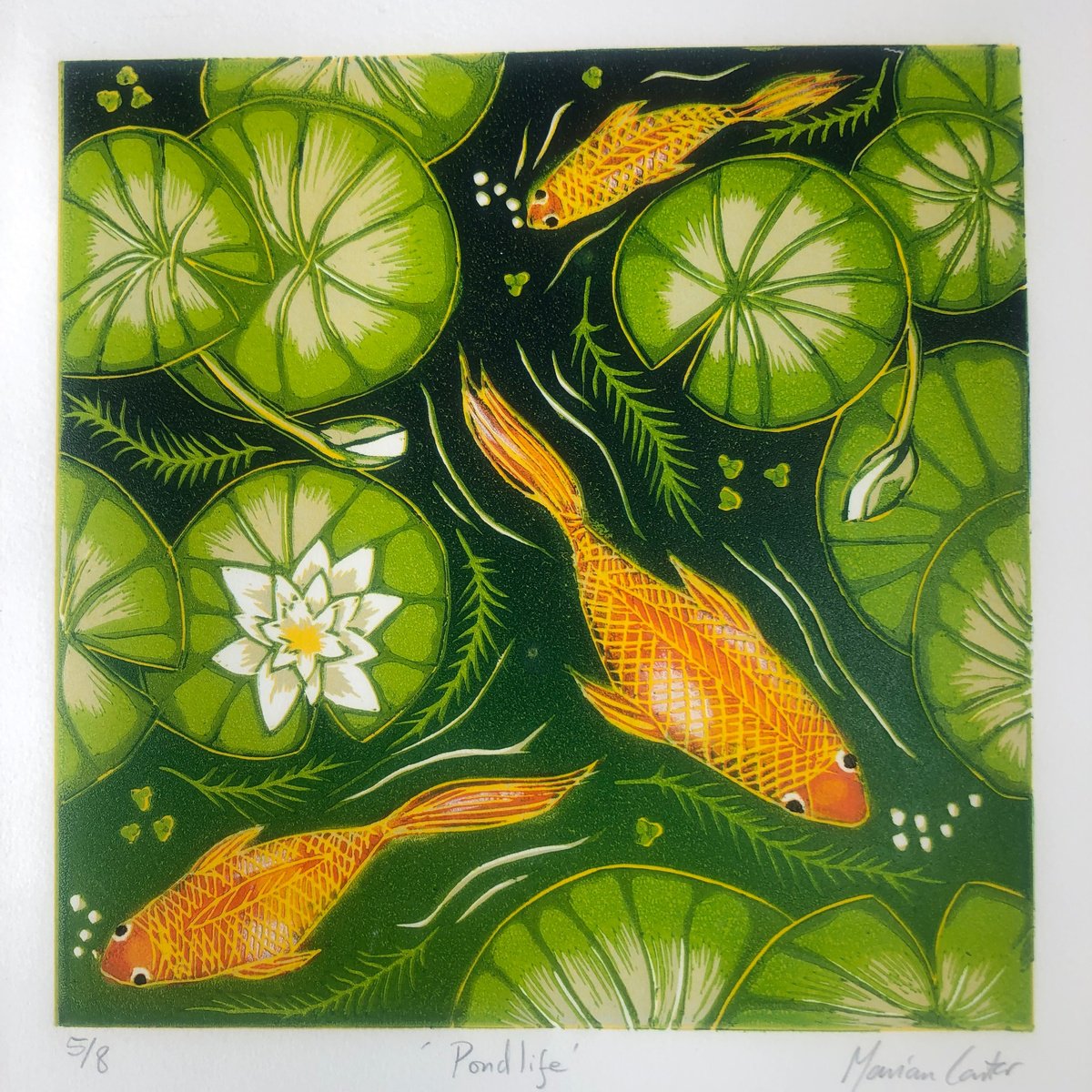 Illustrative Animal Linocut By Marian Carter, 11 X 11", Pondlife, Original Artwork